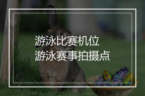 游泳比赛机位　游泳赛事拍摄点